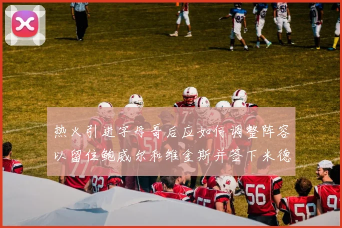 热火引进字母哥后应如何调整阵容以留住鲍威尔和维金斯并签下米德尔顿