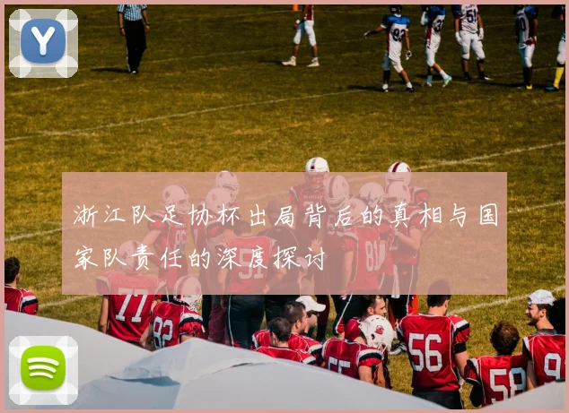 浙江队足协杯出局背后的真相与国家队责任的深度探讨